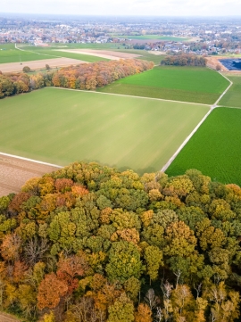 Aerofotografie cudrona.ro